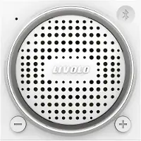 Livolo | Blanc | SR | Module | Conférencier Bluetooth - Voir ici!