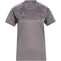 Adidas T-shirt fonctionnel 'Audi Formula One Team Driver' gris / gris foncé / argent