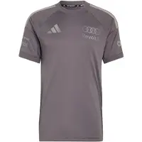 Adidas T-Shirt fonctionnel 'Audi Formula One Team Driver' gris / taupe