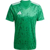 Adidas Team Icon 25 Short Sleeve T-shirt Vert XL / Regular Homme