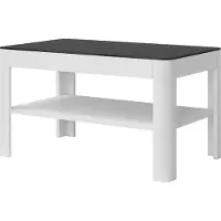 Meublorama Table basse TONGA, coloris blanc avec plateau en verre fumé, 100 x 55 x 60 cm