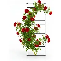Relaxdays Treillis mural (5 cm, 76 cm)