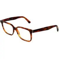 Web Lunettes de Vue - - WE5119 - Acétate - Red Havana - 53/15/145
