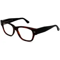 Web Lunettes de Vue - - WE5117 - Acétate - Blonde havana - 53/17/145