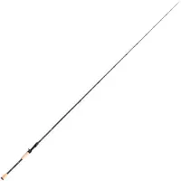 Hart Eternal Cast 72h Baitcasting Rod Doré 2.18 m / 14-42 g
