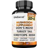 Didacat Mushroom Complex 11500mg (120 capsules) Complément alimentaire, Lions Mane, Turkey Cordyceps, Reishi Chaga, cerveau, nerfs, système immunitaire, énergie