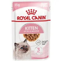 Royal Canin Kitten in Gravy - 24 x 85 g