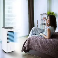 Trotec Rafraîchisseur D'air De 5,6l Avec Fonction D'oscillation Activable Au Besoin
