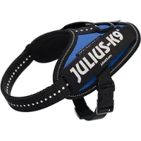 JULIUS K-9 Idc Power Baby Dog Harness Bleu Baby 1