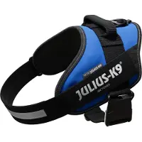 JULIUS K-9 Idc Power Dog Harness Bleu L-1