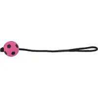 Trixie Sportball am Seil (Jouet de balle pour chiens)