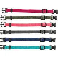 Trixie Junior Set collier pour chiot 6 pcs. M-L 22-35 cm/10mm