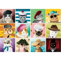 Roovi Cats with Hats