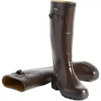 Aigle Boots 'Benyl' marron