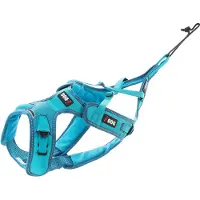 IDog Harnais Canicross X-back Dog Harness Bleu XL