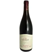 Domaine Pansiot 2019 Bourgogne Hautes Côtes De Nuit - Vin Rouge De Bourgogne