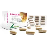Sidroga Gesellschaft für Gesundheitsprodukte mbH Composed 28-C Regulin 60 pc(s) Capsule(S)