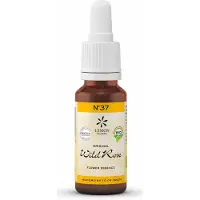 Hager Pharma GmbH Fleurs de Bach gouttes N° 37 - Rose sauvage | Églantier 20ml