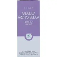 Oligoplant Angelique (Angelica Archangelica) 120 ml Solution(S)
