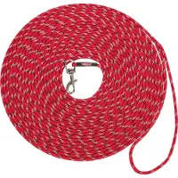 Trixie Junior laisse de dressage pour chiots XXS–XS: 8 m/ 4 mm rouge