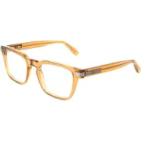 Ferragamo Lunettes de Vue - - SF3044 - Transparent caramel - Acétate - 53/23/150