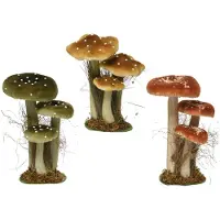 Décoris Ensemble de champignons - Marque inconnue - 14 x 18 x 26 cm - Mousse - Couleurs assorties