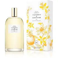 Victorio & Lucchino Nº 1 Vapo 150ml Eau De Cologne Jaune Femme