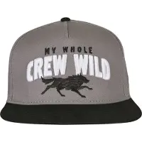Cayler & Sons Casquette 'Crew Wild' greige / rouge / noir / blanc