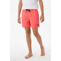 Quiksilver Short De Bain Everyday Volley 14´´