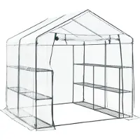 En.casa Serre Grünau avec étagères 200 x 200 x 220 cm Serre en film plastique Serre en acier transparent