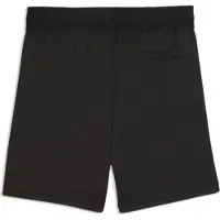 Puma Hommes, Bas de sport, teamLIGA26 Referee Shorts (S), Noir, Argent