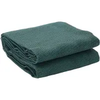 Syfax Tapis de tente vert 5x2,5 m