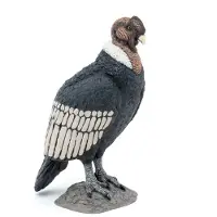 Papo Condor