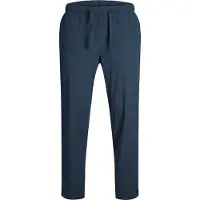 Jack & Jones Ace Dave Breeze Jogger Chino Pants Bleu 8 Years Garçon