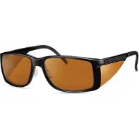 Eschenbach Lunettes filtrantes Ambelis 16635 85