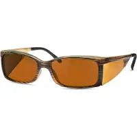 Eschenbach Lunettes filtrantes Ambelis 16631 85