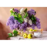 Castorland Puzzle lilas Nature morte - Puzzle de 500 pièces