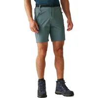 Regatta Short de randonnée Xert III