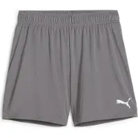 Puma Femmes, Bas de sport, teamGOAL Short de Handball W (XS), Gris