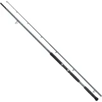 Shimano Fishing Forcemaster Ax Lure Catfish rod silver 2.40 m / 150 g silver 2.40 m