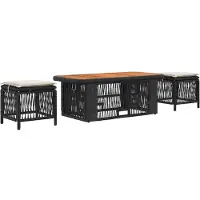 Syfax Ensemble de salle à manger pour jardin 4 pcs Noir et Crème