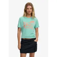 Superdry Roadside Trade Relaxed Short Sleeve T-shirt Vert S Femme