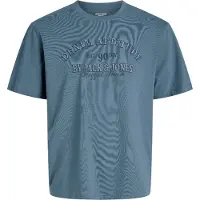 Jack&Jones PLUS Plus T-Shirt 'JJEDenver' bleu fumé / bleu foncé