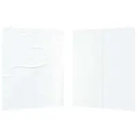 vidaXL Tente de fête, paroi latérale, 2 pièces, 200 x 195 cm, blanc, en polyéthylène et acier