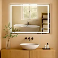 CLP Miroir de salle de bain Jaffrey, taille:60x80 cm