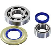 Polini 2820007 Crank Shaft Bearing&seal Kit Argenté