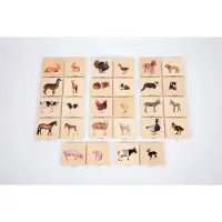 TickiT Jeu de mémoire en bois Familles d'animaux domestiques - Jouets éducatifs pour enfants