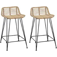 vidaXL Tabourets de bar, lot de 2, couleur naturelle, 44 x 45 x 76 cm, rotin et acier