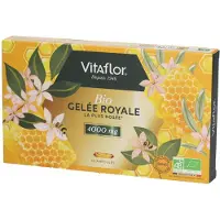 Vitaflorbio Vitaflor Gelée Royale Bio 4000mg 10 ampoules