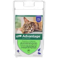 Advantage 80 pour chat et lapin 4 pc(s) Pipette(S) Unidose(S)